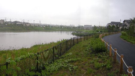 坪井近隣公園の調整池