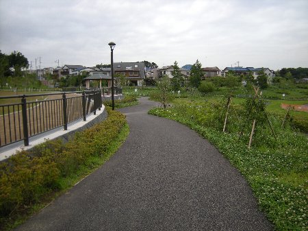坪井近隣公園の遊歩道