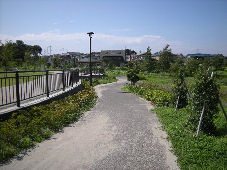 2009年7月 坪井近隣公園