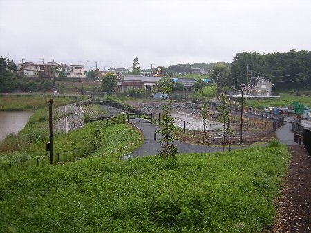 坪井近隣公園の越流堰　遠景