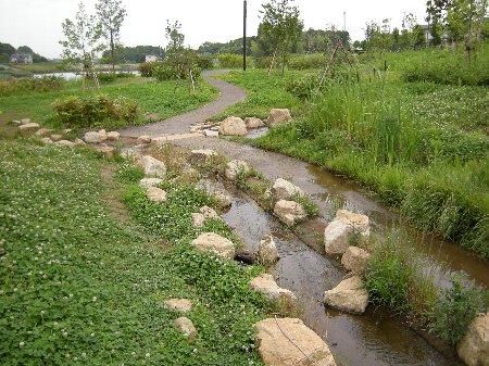 坪井近隣公園の小川