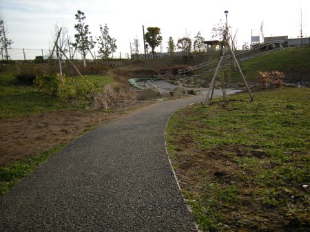 冬の坪井近隣公園