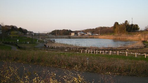 坪井近隣公園