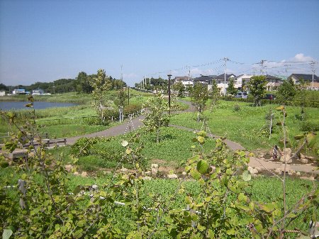 2009年7月 坪井近隣公園