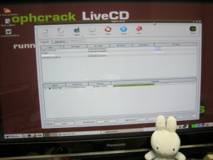 Ophcrack Live CDで解析できた
