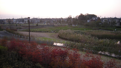 坪井近隣公園