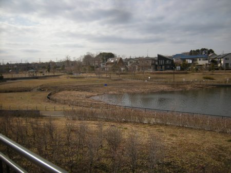 冬の坪井近隣公園