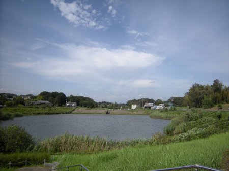 坪井近隣公園の調整池