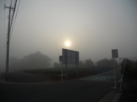 濃霧の坪井町