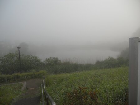 霧の坪井近隣公園