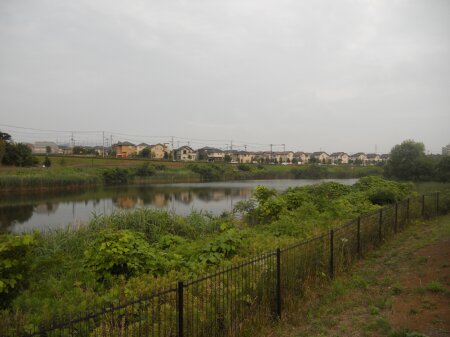 坪井湿地の看板