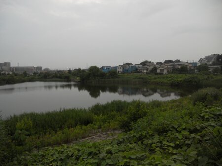 坪井湿地の看板