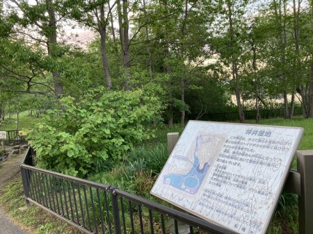 坪井湿地