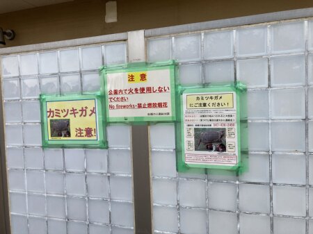 特定外来生物カミツキガメに注意の看板