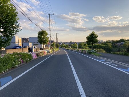 坪井町定点観測2025年4月